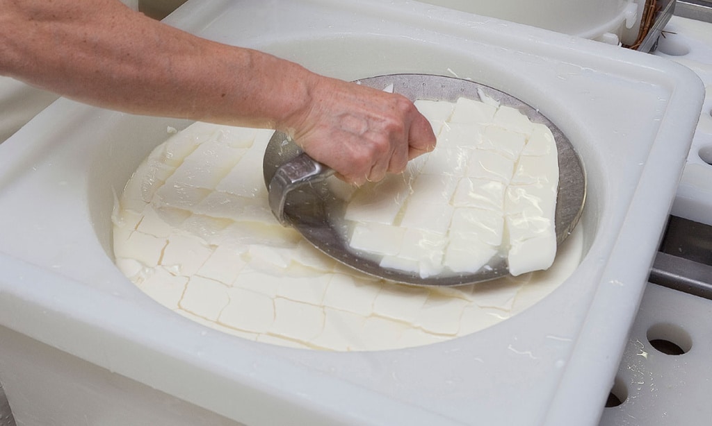 Fabrication fromage Renard Gillard - Travail en cuve